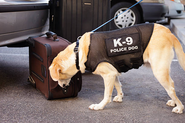 CRPF Dog Squad